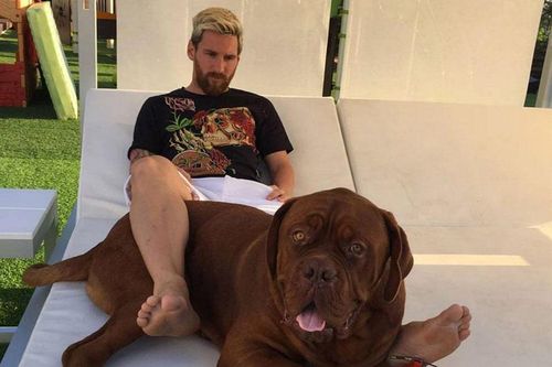 'Soi' cún cưng của các ngôi sao bóng đá thế giới: Ronaldo dùng chó để tán gái, Messi nuôi pet 'khổng lồ'