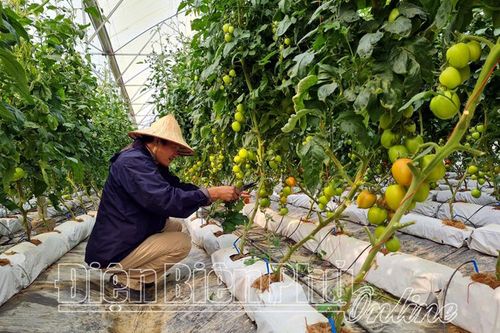 Đẩy mạnh ứng dụng khoa học kỹ thuật vào sản xuất