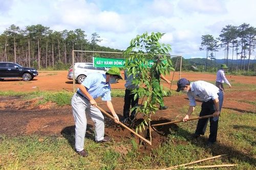 Huyện Bảo Lâm phát động trồng 4,5 triệu cây xanh