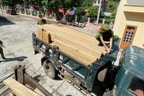 Liên tiếp bắt giữ các vụ vận chuyển số lượng lớn lâm sản trái phép