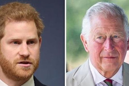 Cha con chia rẽ: Phản ứng đầu tiên của Thái tử Charles sau khi bị Harry chỉ trích lần nữa