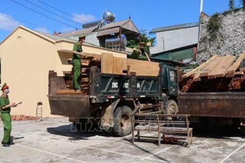 Liên tiếp bắt giữ các vụ vận chuyển gỗ trái phép