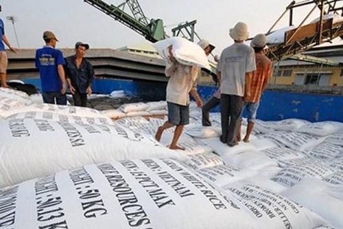 Xuất khẩu gạo và cao su cùng tăng
