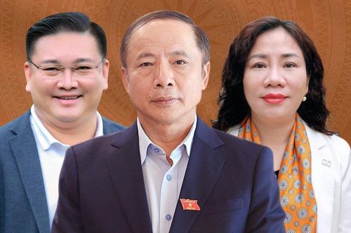 Cam kết của các doanh nhân nếu tham gia nghị trường Quốc hội