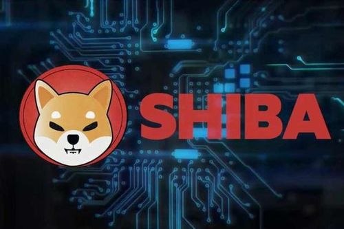 Cặp anh em thất nghiệp trở thành triệu phú nhờ 'memecoin'