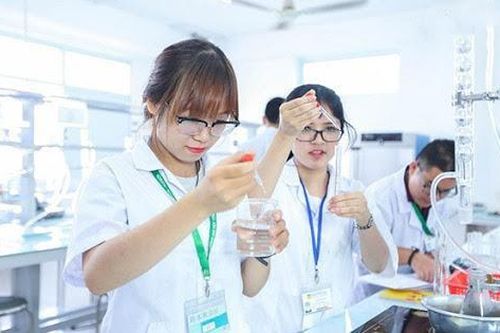Ngành học nào thu hút thí sinh nhiều nhất trong mùa tuyển sinh 2021?