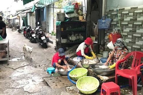 Giết mổ gia cầm gây ô nhiễm