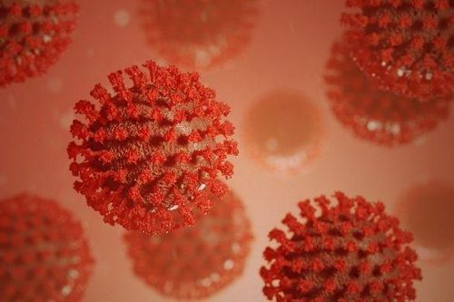Giới khoa học kêu gọi một cuộc điều tra nghiêm túc về nguồn gốc đại dịch Covid-19