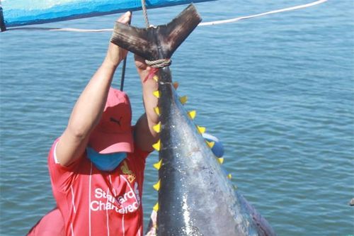 'Báo động đỏ' nghề khai thác thủy sản (bài 5)