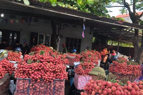 Bộ Nông nghiệp và Phát triển nông thôn 'gỡ khó' cho nông sản