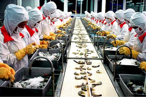 'Vua tôm' Minh Phú báo lãi giảm một nửa trong quý 1/2021
