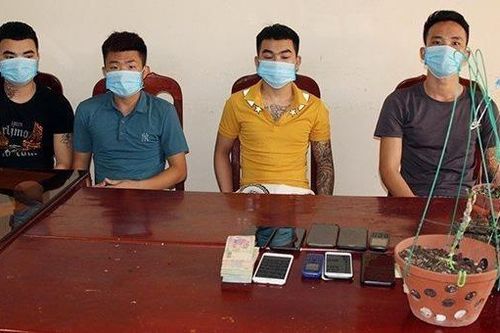 Lừa đảo 'lan đột biến', nhóm đối tượng chiếm đoạt 3,5 tỷ đồng