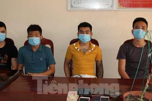 Lừa bán lan đột biến, chiếm đoạt hơn 3,5 tỷ đồng