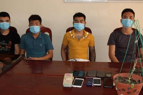 Bắt ổ nhóm bán lan 'đột biến' giả chiếm đoạt gần 4 tỷ đồng ở Hà Nam