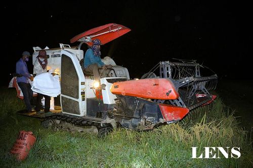 Nông dân Hà Tĩnh 'trốn nắng' thu hoạch lúa xuân