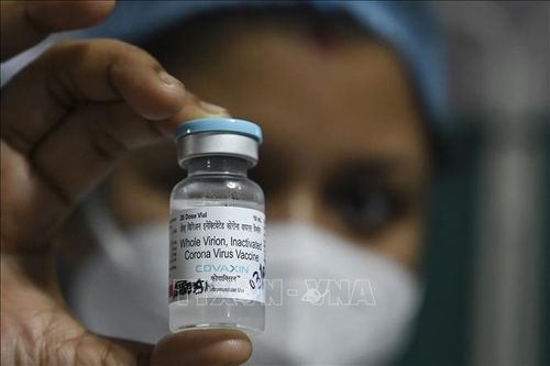 ICMR: Vaccine Covaxin, Covishield tạo ra ít kháng thể hơn với biến thể B.1.617