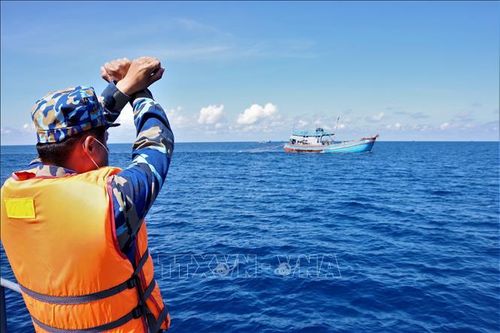Phát hiện 23 phương tiện vi phạm hành lang an toàn đường ống dẫn khí dưới biển