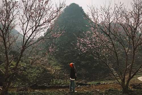 Thanh xuân, nhất định phải đi Hà Giang một lần
