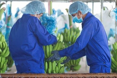 HNG đặt mục tiêu lợi nhuận 16 tỉ đồng năm 2021