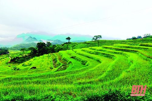 Du lịch Thanh Hóa trên 'đường băng' phát triển: Khi mục tiêu - kỳ vọng còn ở... phía tương lai