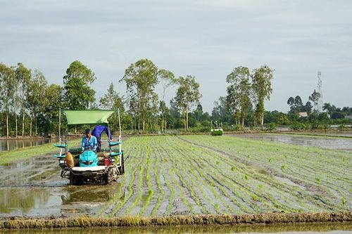 Tái cơ cấu nông nghiệp theo hướng ứng dụng khoa học - kỹ thuật và chế biến sâu