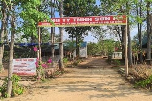 Được giao rừng làm dự án nhưng lại phá rừng