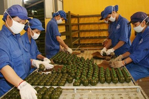 Phân loại, khám sức khỏe định kỳ với viên chức quốc phòng