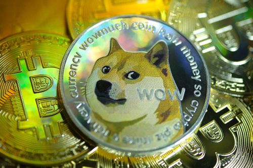 Trở thành triệu phú nhờ chi toàn bộ tiền tiết kiệm mua Dogecoin