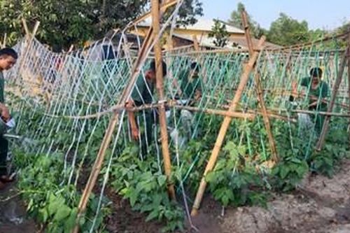 Chủ động tăng gia sản xuất, nâng cao đời sống bộ đội