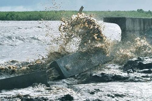 ĐBSCL: Cần hơn 8.000 tỷ đồng để xử lý 76 điểm sạt lở nghiêm trọng