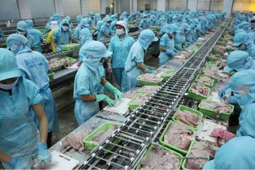 Bức tranh kinh doanh ảm đạm của doanh nghiệp thủy sản quý 1/2021