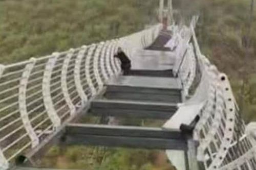 Cầu kính cao 100m bị gió giật hỏng, du khách hoảng loạn