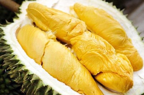 5 nhóm người tuyệt đối không nên ăn sầu riêng