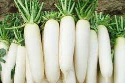 Những siêu thực phẩm chống ung thư, chợ Việt Nam mùa nào cũng sẵn