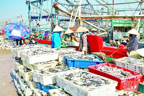 Nâng cao năng lực khai thác và chế biến thủy, hải sản