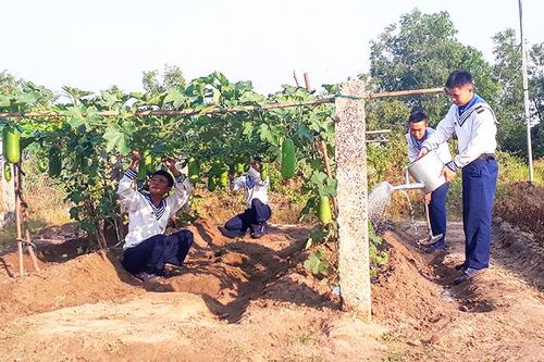 Tiểu đoàn 870, Lữ đoàn 957, Vùng 4 Hải quân: Đẩy mạnh tăng gia sản xuất