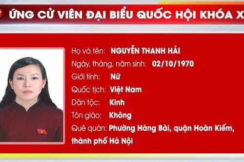 Ứng cử viên Phó Giáo sư, Tiến sĩ Nguyễn Thanh Hải, Ủy viên Ban Chấp hành Trung ương Đảng, Bí thư Tỉnh ủy, Trưởng Đoàn đại biểu Quốc hội tỉnh Thái Nguyên