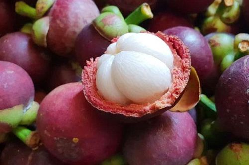 Trái măng cụt Lái Thiêu