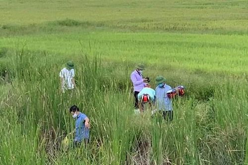 Vụ 2 mẹ con nằm chờ tàu Bắc-Nam để tự tử: Khởi tố vụ án, bắt tạm giam người mẹ