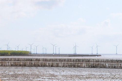 Hậu Giang sắp có dự án điện gió hơn 3.200 tỷ đồng