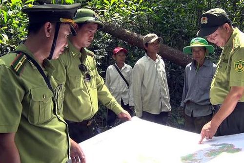 Chủ động phòng cháy, chữa cháy rừng