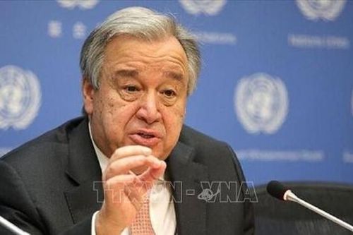 Chiến binh nước ngoài vẫn hiện diện ở Libya