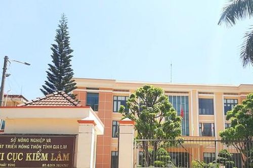 Đề nghị điều tra vụ mua sắm thiết bị phòng cháy ở Chi cục Kiểm lâm Gia Lai