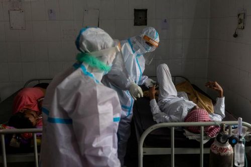 Nhà virus học hàng đầu Ấn Độ rút khỏi Hội đồng chính phủ có thể do bất đồng