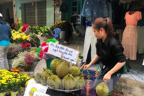 Trái cây đầu mùa giá rẻ chưa từng thấy