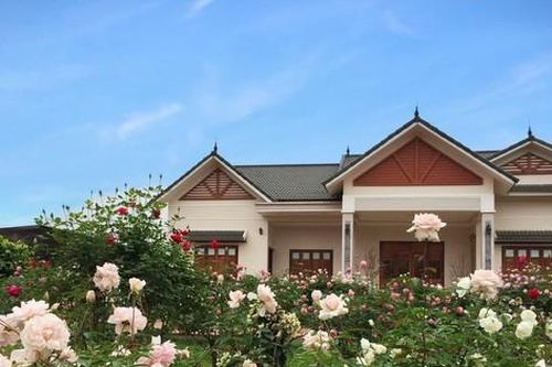Căn nhà tràn ngập hoa hồng ở Ba Vì gây 'bão' mạng