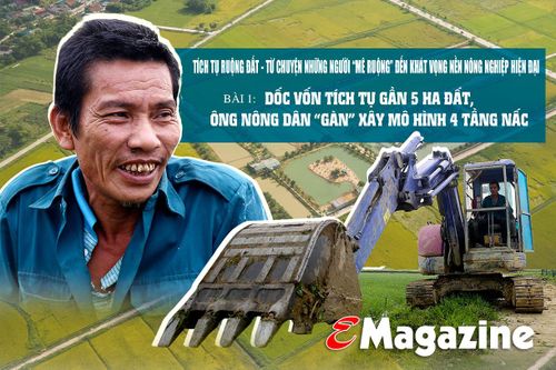 Tích tụ ruộng đất - từ chuyện những người 'mê ruộng' và khát vọng nền nông nghiệp hiện đại (bài 1): Dốc vốn tích tụ 5 ha đất, ông nông dân 'gàn' xây mô hình 4 tầng nấc