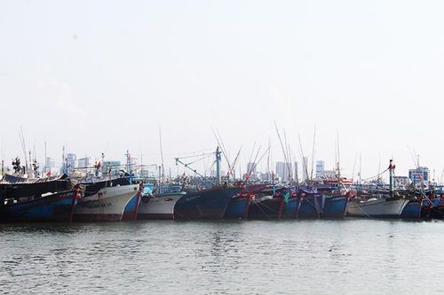 Khánh Hòa: Có 4 khu neo đậu tránh trú bão cho tàu cá
