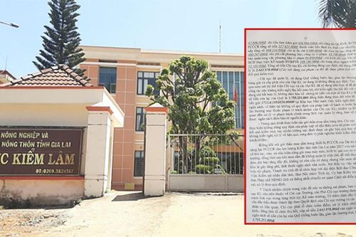 Kiểm lâm Gia Lai 'thổi giá' mua thiết bị cao gấp đôi so với thị trường