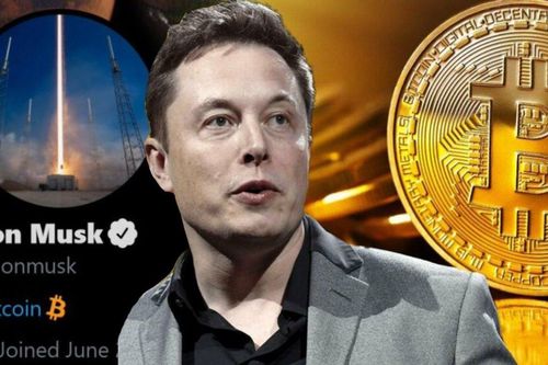 Elon Musk chứng minh nỗi lo sợ của Phố Wall về Bitcoin